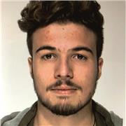 Lezioni di inglese, italiano, greco e latino